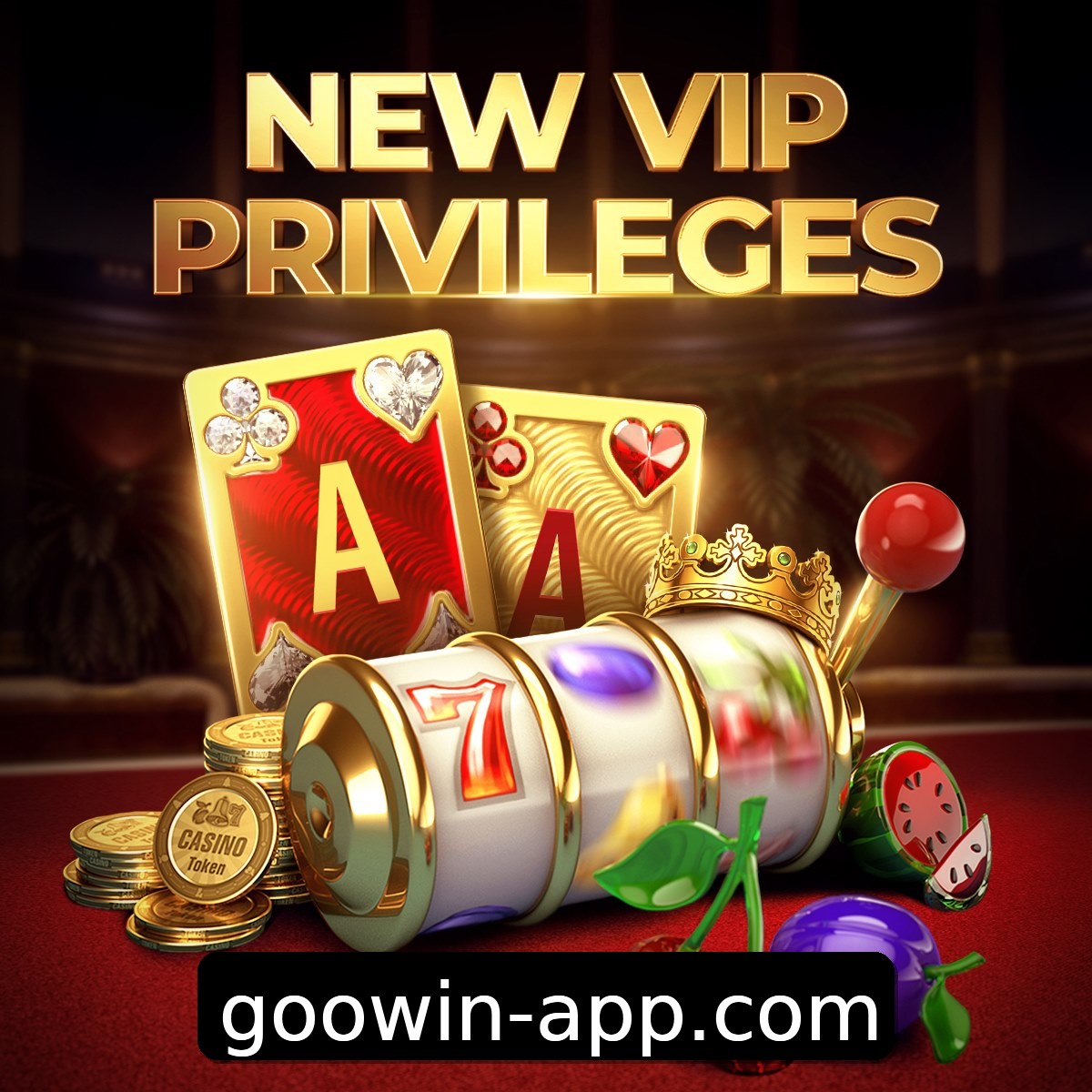 Programa VIP goowin